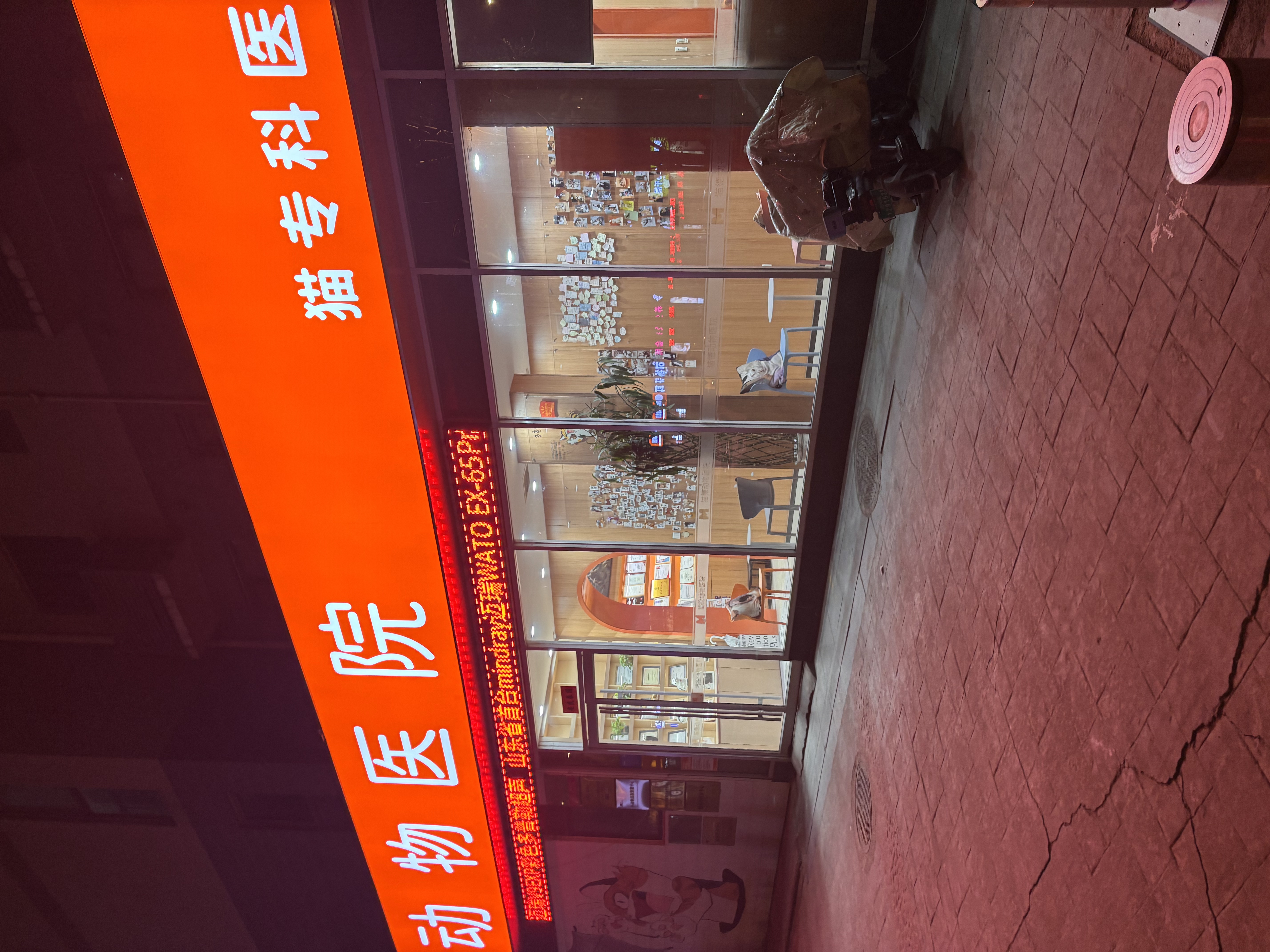 文章插图